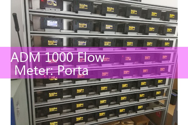 ADM 1000 Flow Meter: Portable Gas Volumetric Tracking and Calibration